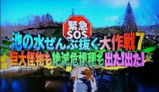 池の水ぜんぶ抜く愛知県【佐布里池】ゲストは誰?放送日はいつ。画像動画あり