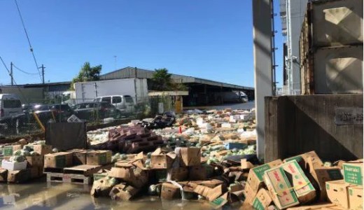 さいたま市桜区 荒川付近の羽倉橋 治水橋が冠水で氾濫?浦和卸売市場やレッズランドが浸水で水没 台風19号